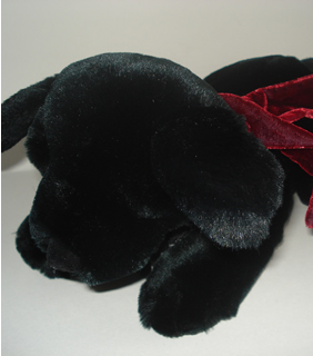 "Ginger", Black Lab "Ginger", Black Lab