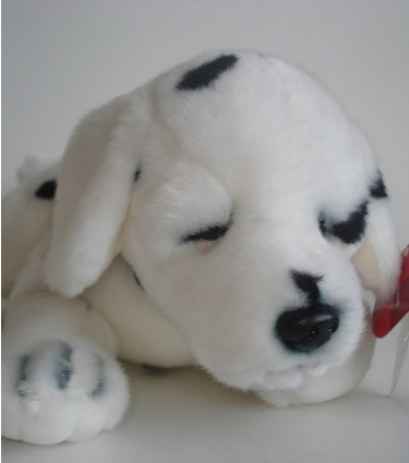 Dalmation Dalmation